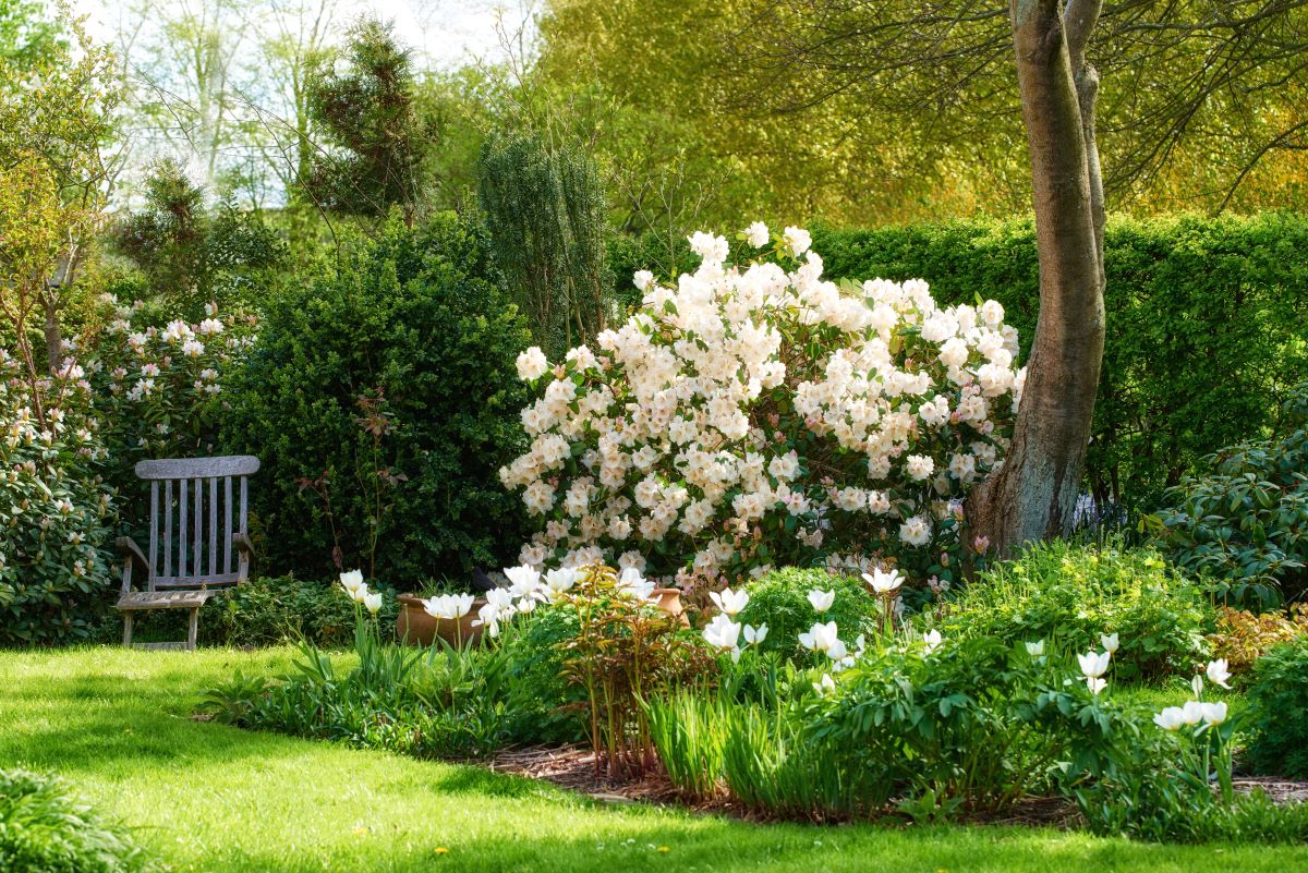Ruhe im eigenen Garten – Dein persönlicher Rückzugsort im Al