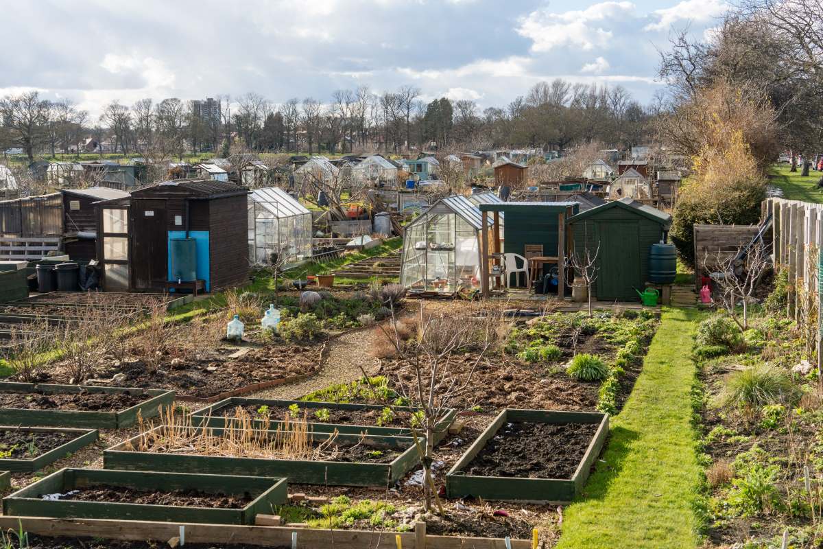 Schrebergarten im Alb-Donau-Kreis: Pacht, Regeln und praktis